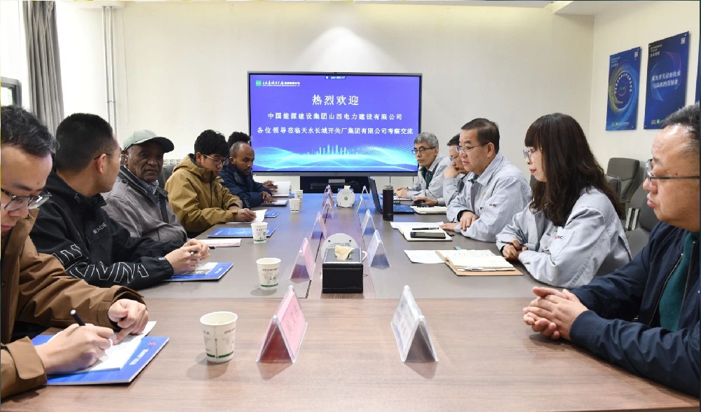 尼日特里亚国家能源部考察团一行来公司考察交流